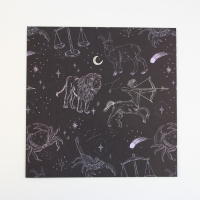 Набор бумаги для скрапбукинга «Космос внутри», 12 листов, 30.5 х 30.5 см, 180 г/м² Набор бумаги для скрапбукинга «Космос внутри», 12 листов, 30.5 х 30.5 см, 180 г/м²