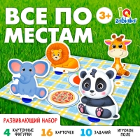 Развивающий набор &laquo;Всё по местам&raquo;, 16 карточек, 10 заданий, 3+