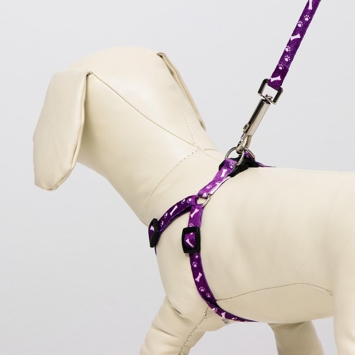 Комплект "Классика", поводок 120 х 1 см, ОГ 28-47 см, фиолетовый