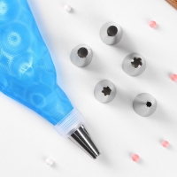 Набор кондитерский Доляна &laquo;Хоста&raquo;, 8 предметов: 6 насадок, адаптер, мешок кондитерский 31&times;17 см