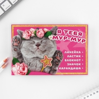 Подарочный набор 6 предметов &laquo;Я тебя мур мур&raquo;