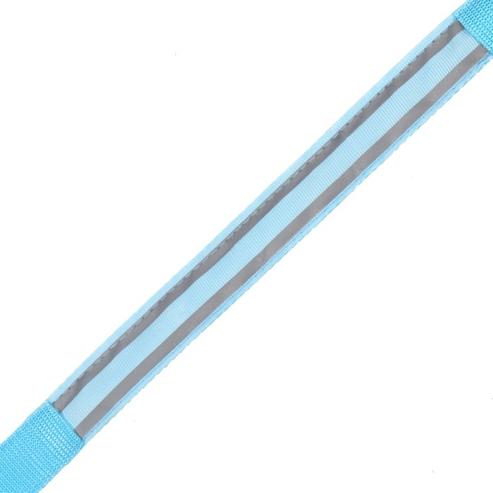 Ошейник с подсветкой Двойная полоса размер L, ОШ 45-52 х 2,5 см 3 режима свечения голубой