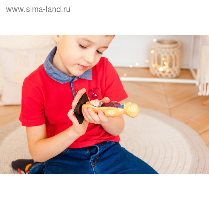 Набор для опытов &laquo;Анатомия человека&raquo;