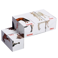 Развивающий трансформер &laquo;Умникуб: Домашние животные&raquo;, 3+