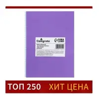 Сменный блок д/тетр на кольцах А5 80л кл Calligrata офсет №1 60 гр/м2 бел 100%