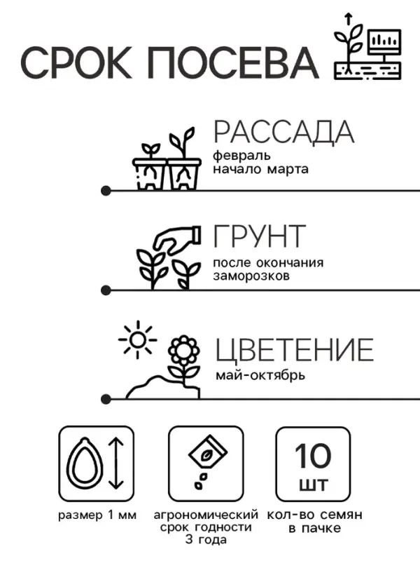 Семена цветов Катарантус Пацифика  "Бургунди" 10 шт