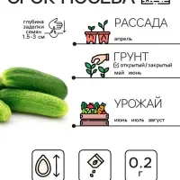Семена Огурец "Бочковой", 0,2 г