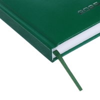 Ежедневник датированный 2024 года, А5, 176 листов, Attomex.Orion, обложка бумвинил, ляссе, блок 70 г/м2, зелёный