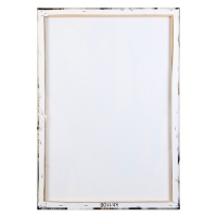 Картина на холсте "Пёрышки" 50*70 см Картина на холсте "Пёрышки" 50*70 см