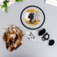 Набор для изготовления ловца снов "Чёрный кот с цветами - Поверь в мечту" d=20 см Набор для изготовления ловца снов "Чёрный кот с цветами - Поверь в мечту" d=20 см