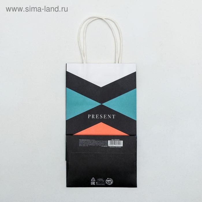 Пакет подарочный крафтовый, упаковка, &laquo;Present&raquo;, 12 х 21 х 9 см