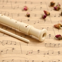 Блокфлейта Music Life, 8 отверстий, немецкая система, сопрано Блокфлейта Music Life, 8 отверстий, немецкая система, сопрано