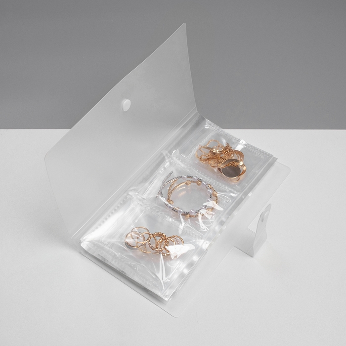 Органайзер для украшений «Книжка» 84 места , 25,5×21,5, цвет прозрачный Органайзер для украшений «Книжка» 84 места , 25,5×21,5, цвет прозрачный