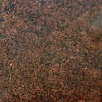 Семена Фацелия "Рецепты дедушки Никиты", 0,5 кг