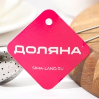 Сито для чая Доляна «Сердце», 15,5 см Сито для чая Доляна «Сердце», 15,5 см