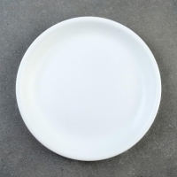 Поддон для горшка 5 л (D=21 см) подходит к кашпо 4л ;5л; белый Поддон для горшка 5 л (D=21 см) подходит к кашпо 4л ;5л; белый