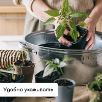 Набор для рассады: стаканы по 320 мл (18 шт.), поддон 51 &times; 26 см, Greengo