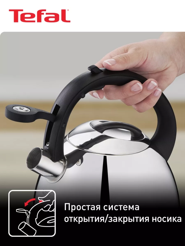 Чайник для плиты Duetto+ N4180110, 2.7 л, стальной