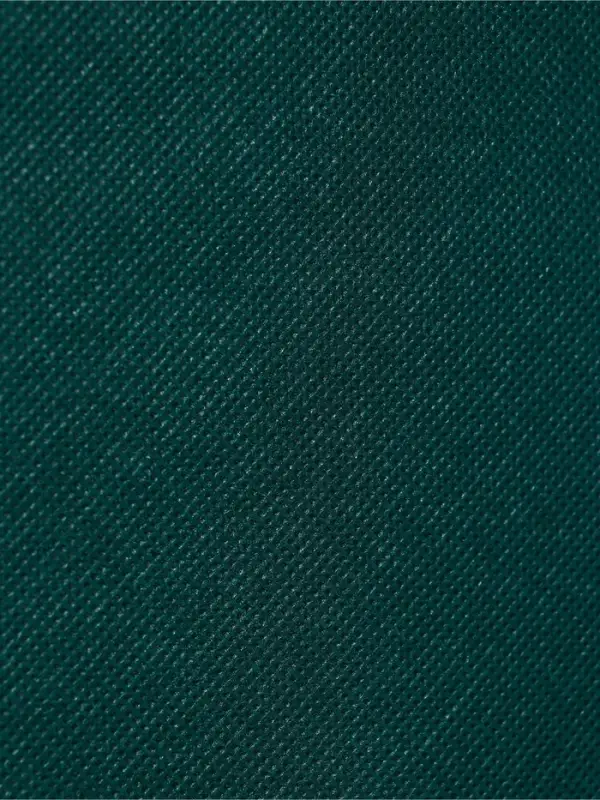 Пакет с петлевой ручкой, сумка - шопер &laquo;Эко&raquo;, 38&times;32&times;10 см, изумрудный