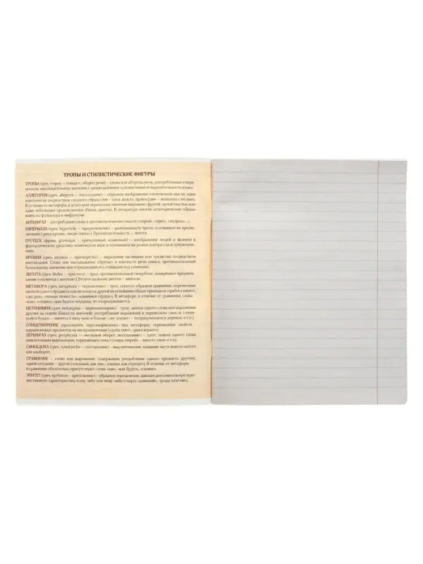 Тетрадь предметная 48 листов в линейку Calligrata, &laquo;Металл. Литература&raquo;, обложка мелованный картон, серые листы