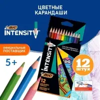 Карандаши 12 цветов BIC Color Up, для подростков и взрослых, трёхгранные, микс
