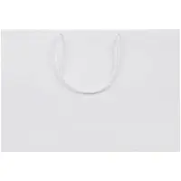 Пакет бумажный Ample Plus M, белый