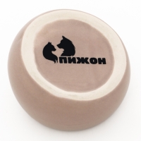 Миска керамическая для грызунов со скошенным краем 30 мл 5,7 х 5,7 х 3,5 см, серая Миска керамическая для грызунов со скошенным краем 30 мл 5,7 х 5,7 х 3,5 см, серая