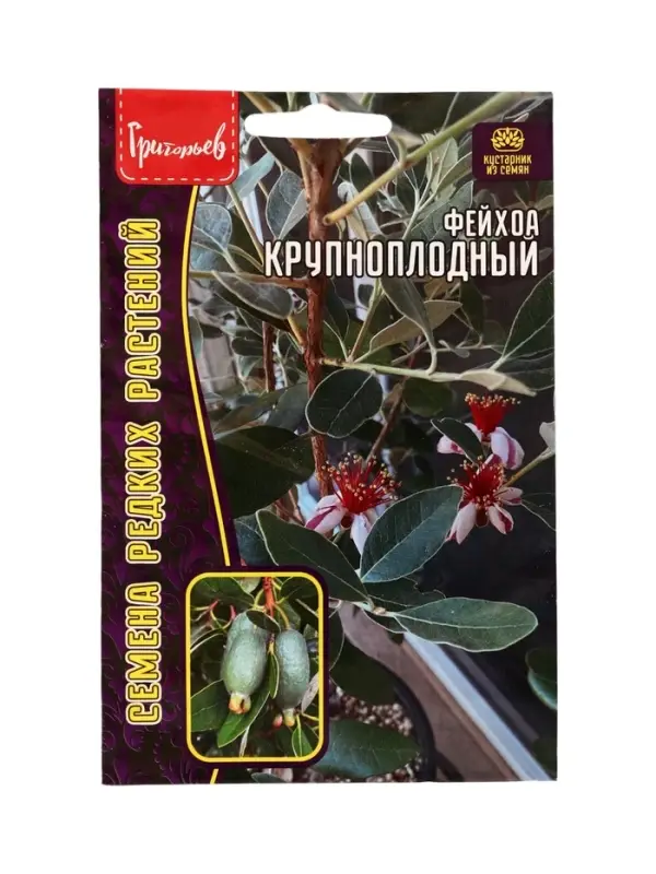 Семена цветов Фейхоа Крупноплодный 7 шт.  12.29 г.