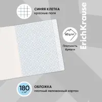 Тетрадь 24 листа в клетку, ErichKrause &laquo;Классика Visio&raquo;, обложка мелованный картон, МИКС