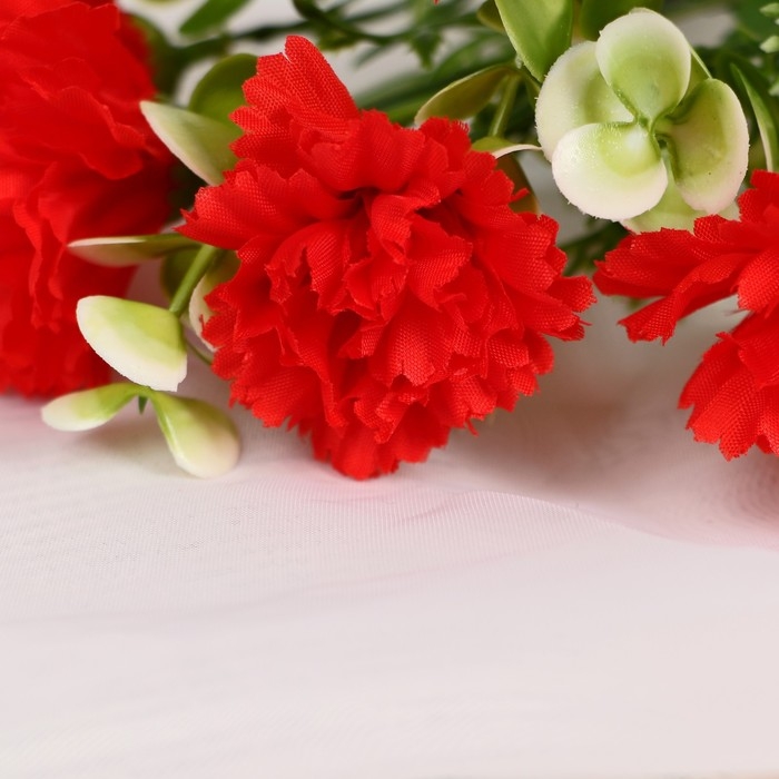 Букет "Гвоздики пушистые" 4х28 см, микс