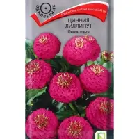 Семена цветов Цинния лиллипут Фиолетовая, 0,4гр