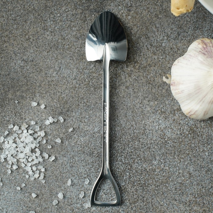 Ложка десертная из нержавеющей стали Magistro &laquo;Лопата&raquo;, длина 15,5 см, форма овальная, цвет серебряный