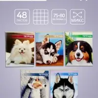 Тетрадь 48 листов в клетку Calligrata &laquo;Собачьи мордочки&raquo;, обложка мелованный картон, блок №2, белизна 75% (серые листы), МИКС