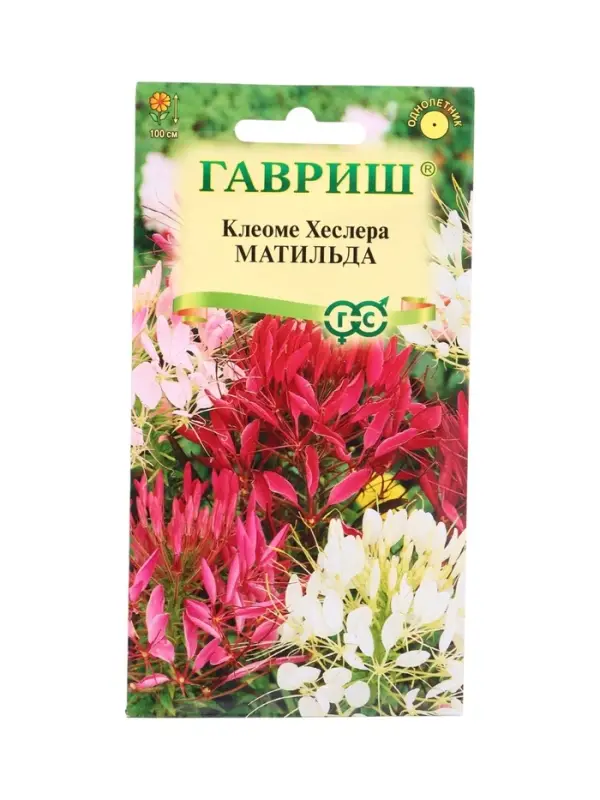 Семена цветов Клеоме Матильда (колючая) смесь 0,2 г