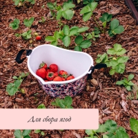 Ёмкость для сбора ягод, 3 л, &laquo;Ягодный&raquo;, белая