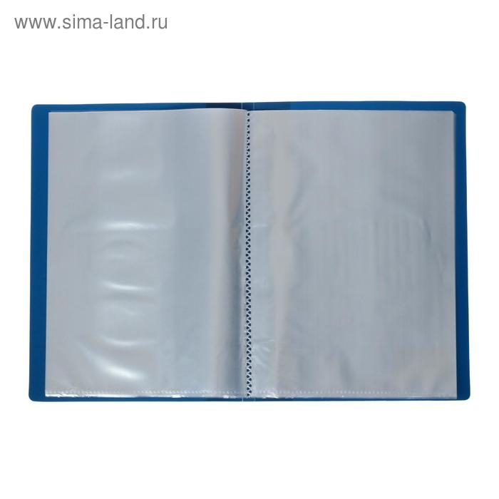 Набор папок А5, 20 вкладышей, Calligrata, карман на корешке, синие, 3 штуки Набор папок А5, 20 вкладышей, Calligrata, карман на корешке, синие, 3 штуки