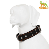 Ошейник кожаный тисненый однослойный, безразмерный, 74 х 4,5 см, ОШ 35-65 см, микс цветов Ошейник кожаный тисненый однослойный, безразмерный, 74 х 4,5 см, ОШ 35-65 см, микс цветов