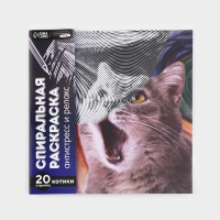 Спиральная раскраска-антистресс &laquo;Мир котиков&raquo;