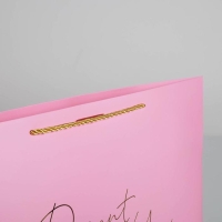 Пакет подарочный, упаковка, «Present for you», 30 х 27.5 х 12 см Пакет подарочный, упаковка, «Present for you», 30 х 27.5 х 12 см