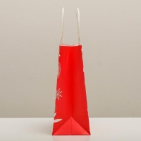 Пакет подарочный новогодний крафтовый «С Новым годом!», 12 х 21 х 9 см, Новый год Пакет подарочный новогодний крафтовый «С Новым годом!», 12 х 21 х 9 см, Новый год