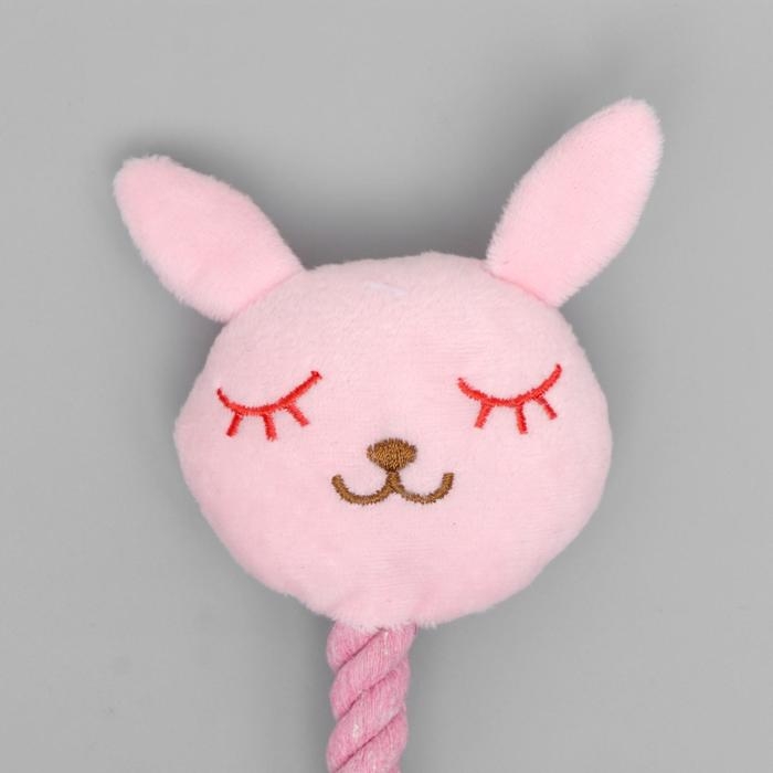 Игрушка мягкая для собак Игрушка мягкая для собак "Зайка с канатом", с пищалкой, 18 см, розовая