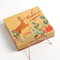 Коробка подарочная новогодняя складная двухсторонняя &laquo;Новогодняя ботаника&raquo;, 20 х 18 х 5 см, БЕЗ ЛЕНТЫ, Новый год