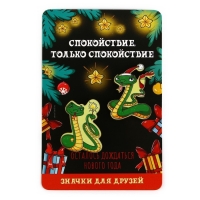 Значки новогодние «Новый год: две змейки», набор, 2 шт Значки новогодние «Новый год: две змейки», набор, 2 шт