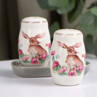 Набор для специй Доляна &laquo;Зайка&raquo;, 2 предмета: солонка, перечница, 130 мл