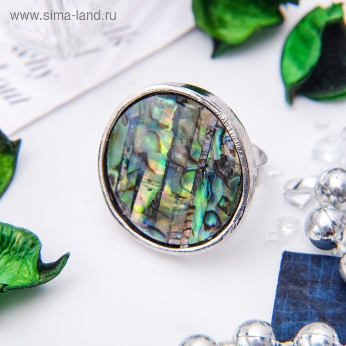 Кольцо «Галиотис» круг, безразмерное Кольцо «Галиотис» круг, безразмерное