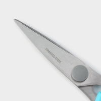 Ножницы кухонные Доляна &laquo;Эльба&raquo;, 22 см, цвет голубой