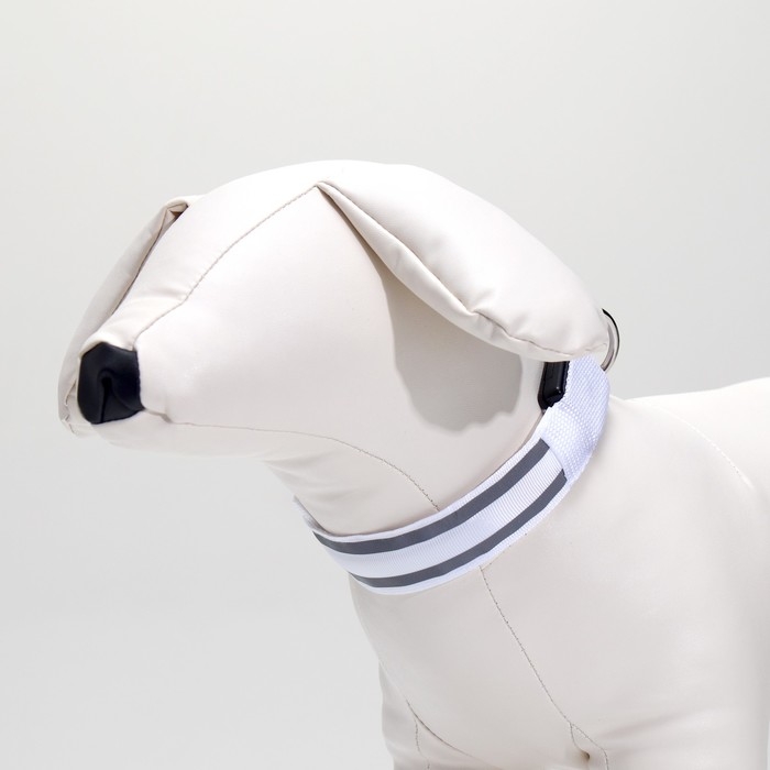 Ошейник с подсветкой Двойная полоса размер S, ОШ 35-43 х 2,5 см, 3 режима свечения белый