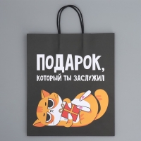 Пакет подарочный крафтовый, упаковка, &laquo;Киса&raquo;, 28 х 32 х 15 см