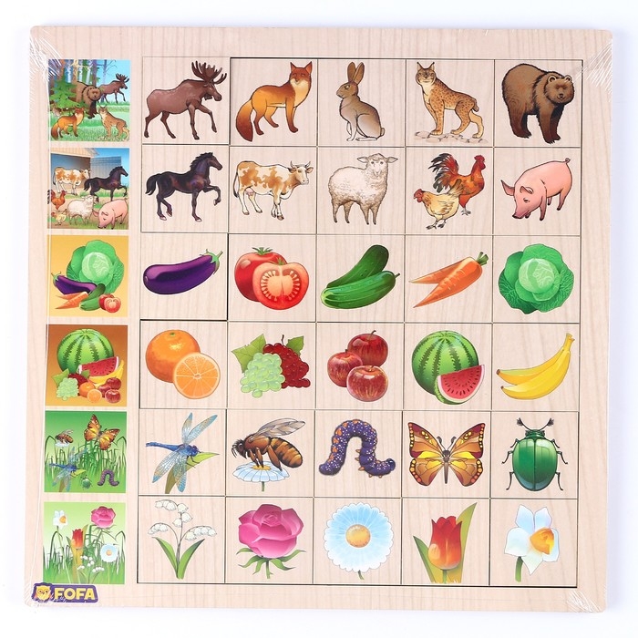 Ассоциация &laquo;Флора и фауна&raquo;