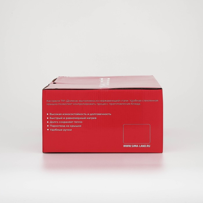 Кастрюля из нержавеющей стали Доляна &laquo;Гретте&raquo;, 4,2 л, d=22 см, с крышкой, капсульное дно, индукция